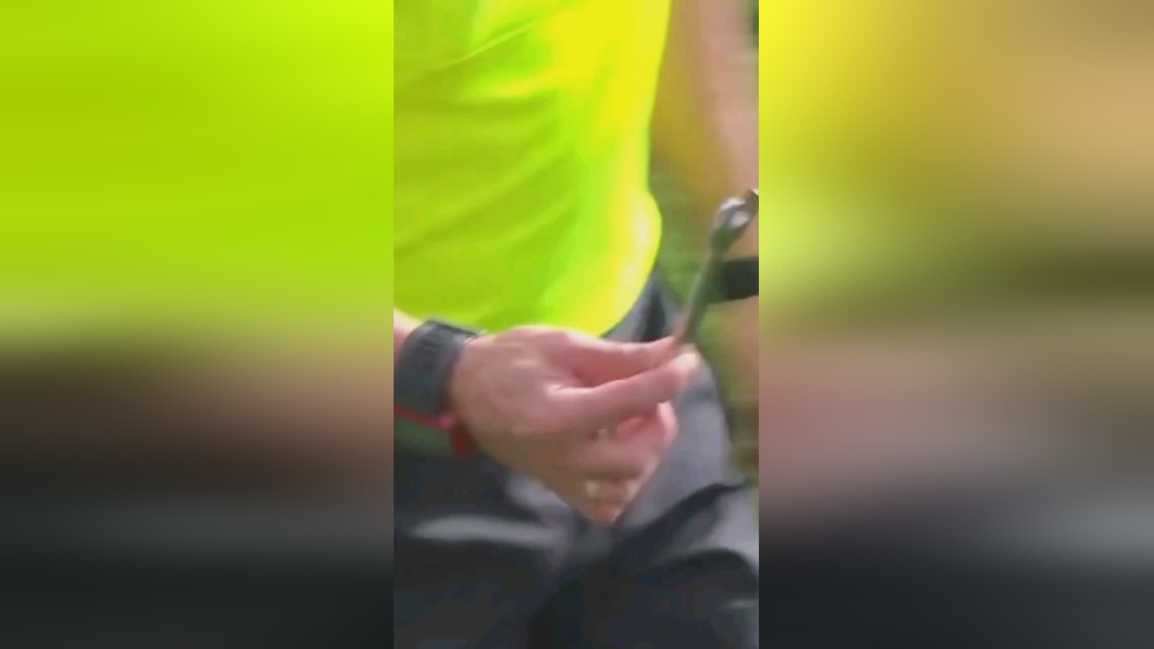 提供一